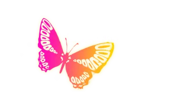 Cozy Bug