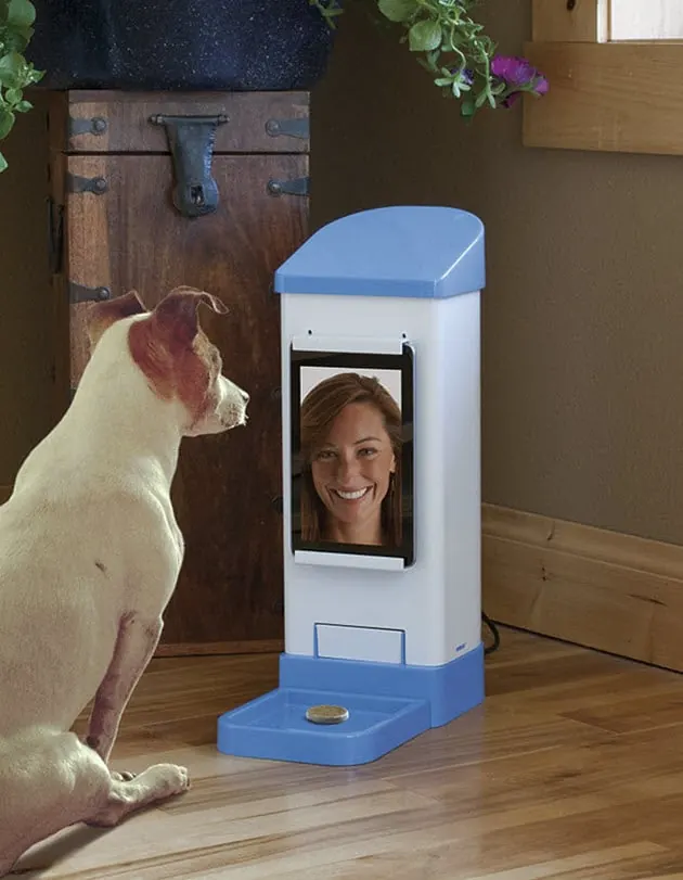 iC Pooch