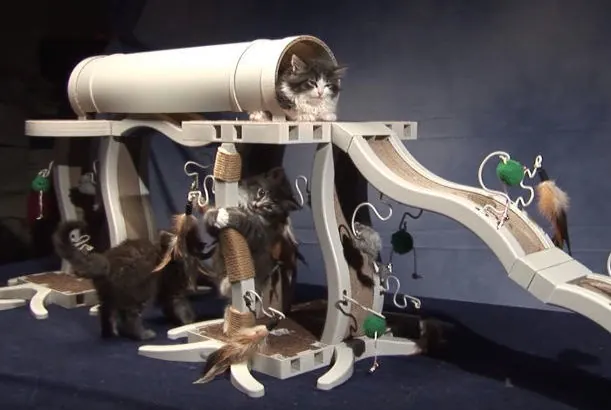Innovation Pet