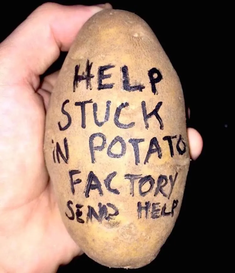 Potato Parcel